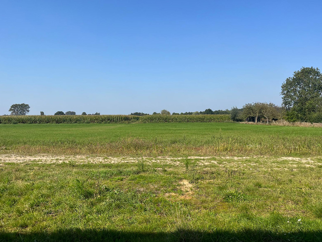 Bostoen Pastorijwoningen Bachte-Maria-Leerne Hof van Leerne Uitzicht op het groen