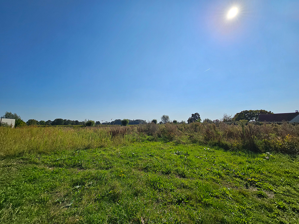 Bostoen Pastorijwoningen Wachtebeke Hof Langelede Bouwgrond