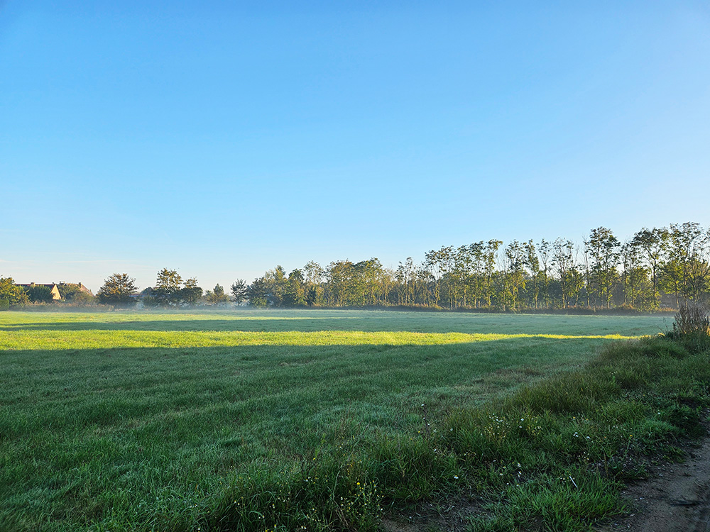 Bostoen landelijke nieuwbouwwoningen in Ramskapelle Hof Teghelrie landelijk uitzicht